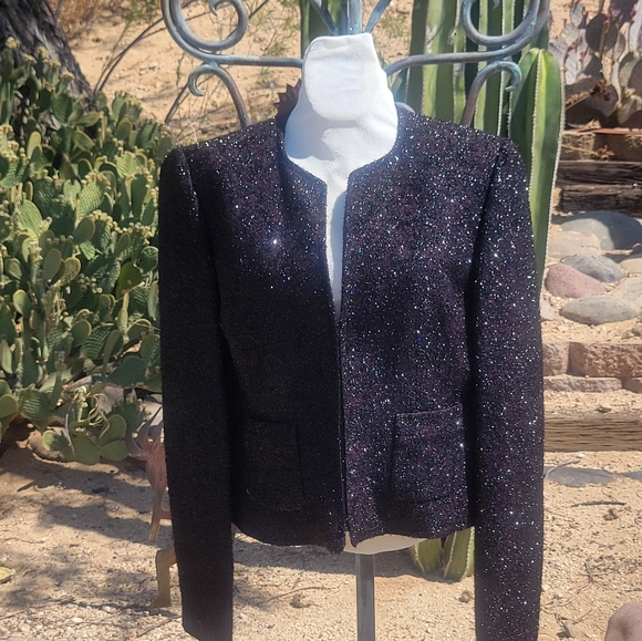 Linda Allard Ellen Tracy Shimmer Evening Jacket - Picture 1 of 6